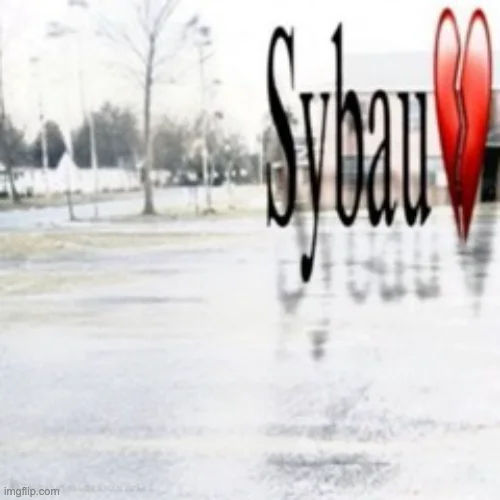 SYBAU 2 Background Style